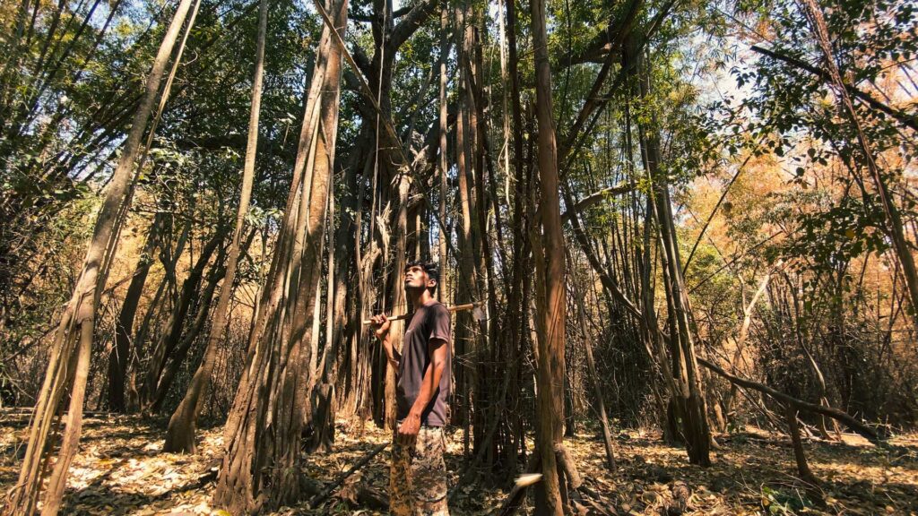 A young man in a forest of South India. Dressed in brown and khaki, he is nearly invisible among the tree trunks.